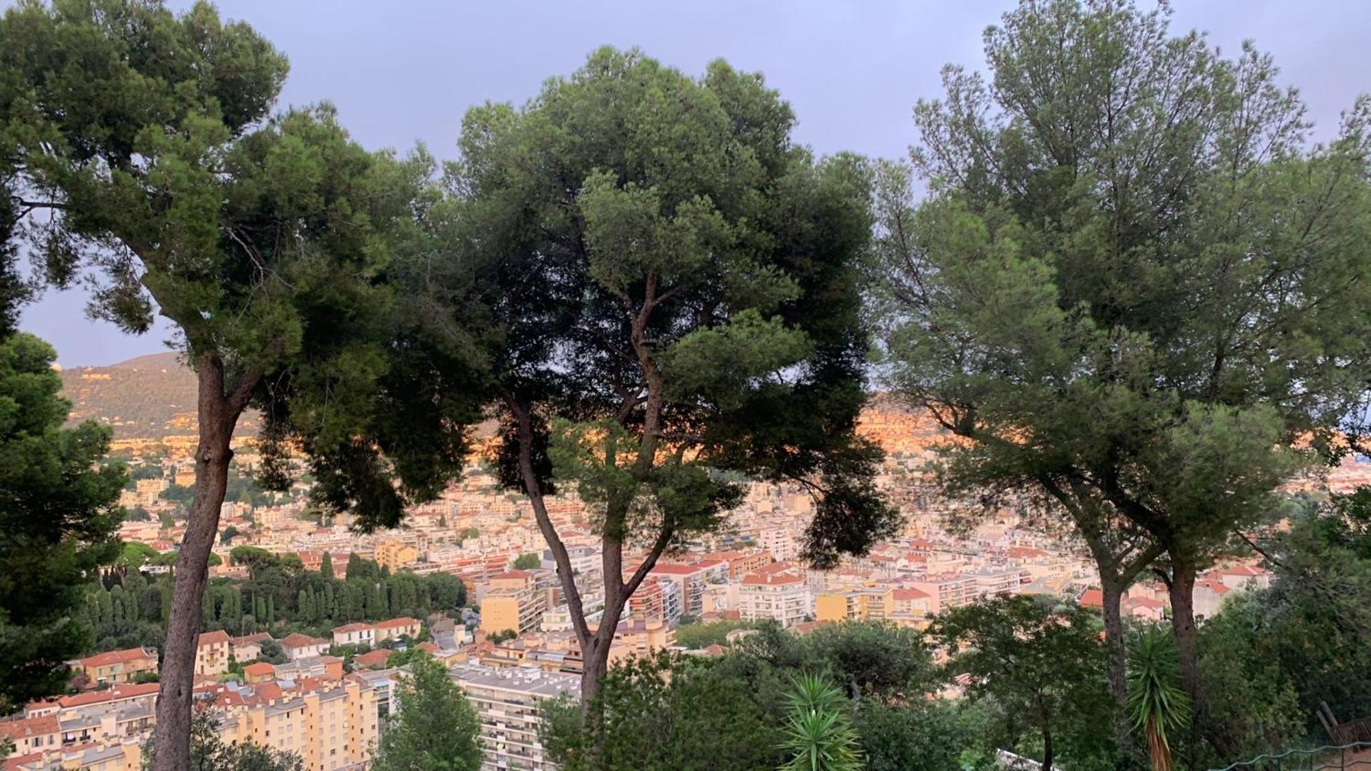 Chambre D Hote Avec Clim Terrasse Et Petit Dejeuner Hauteurs De Nizza Esterno foto