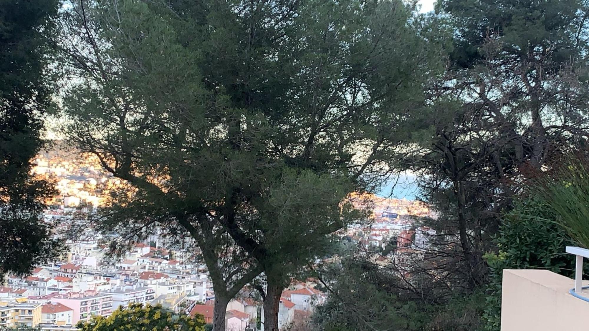 Chambre D Hote Avec Clim Terrasse Et Petit Dejeuner Hauteurs De Nizza Esterno foto